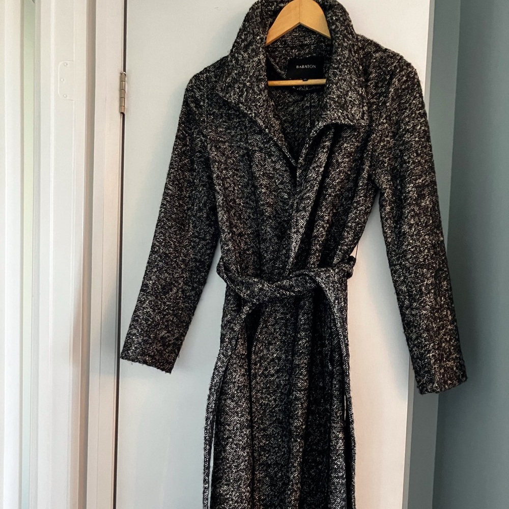 Aritzia Babaton Wool coat